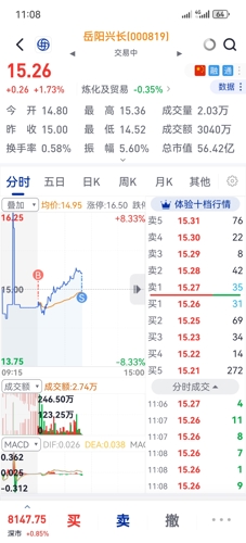 岳阳兴股市最新消息深度解读